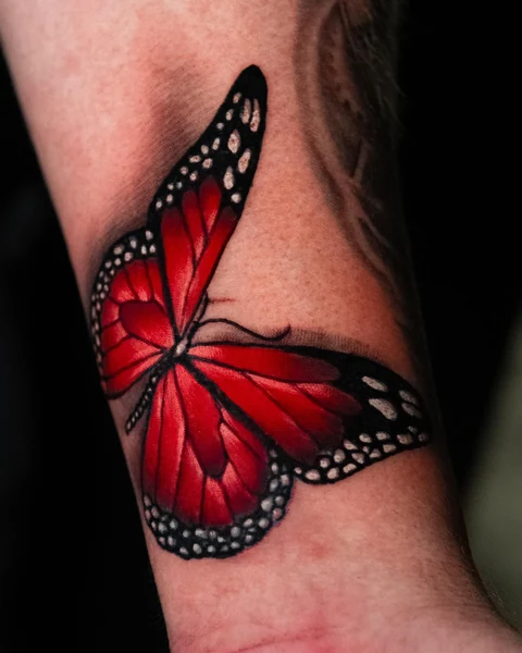 Close view of the red butterfly wings and white edge details. Artwork by William Martz.