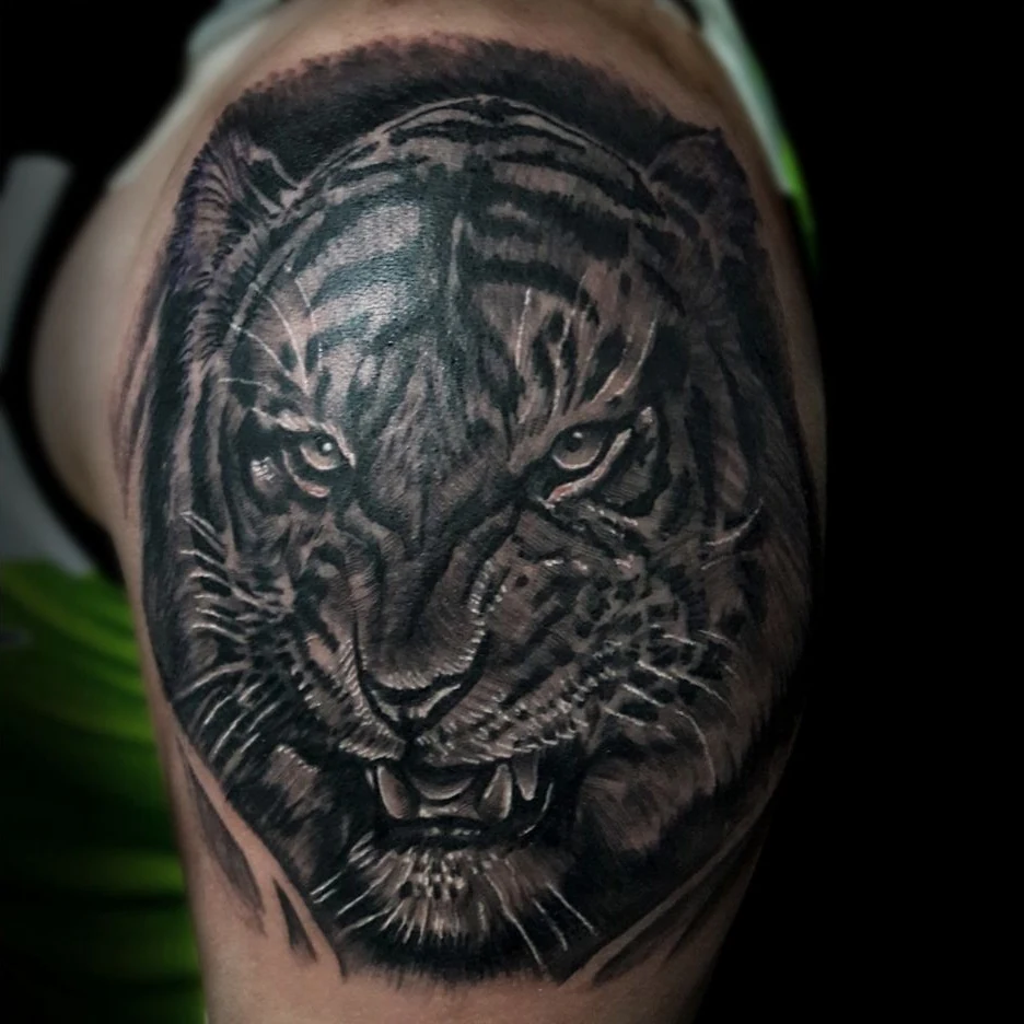 A forward-facing tiger tattoo in black and gray.