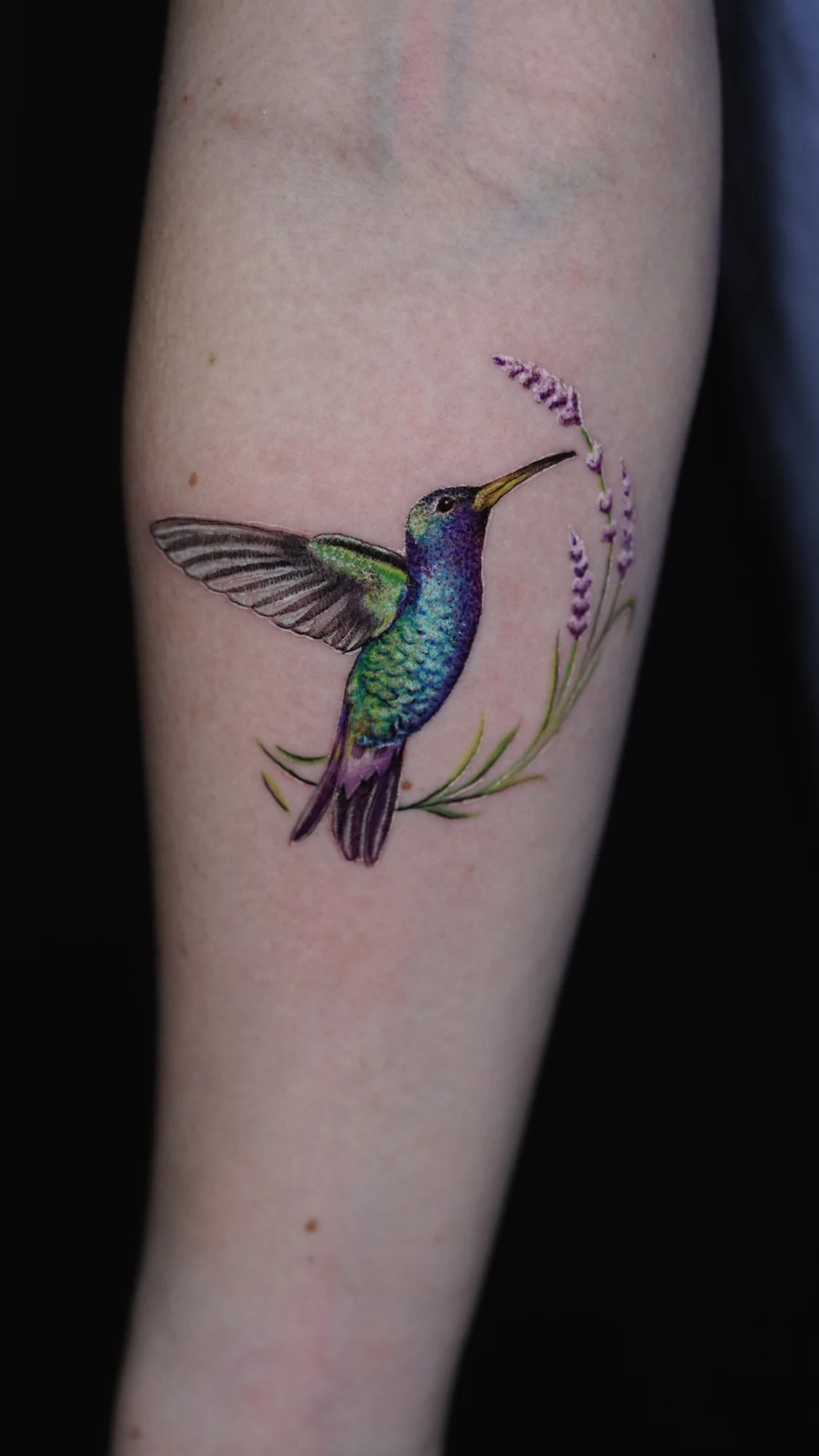 A colorful hummingbird tattoo reaching toward a slender flowering stem.