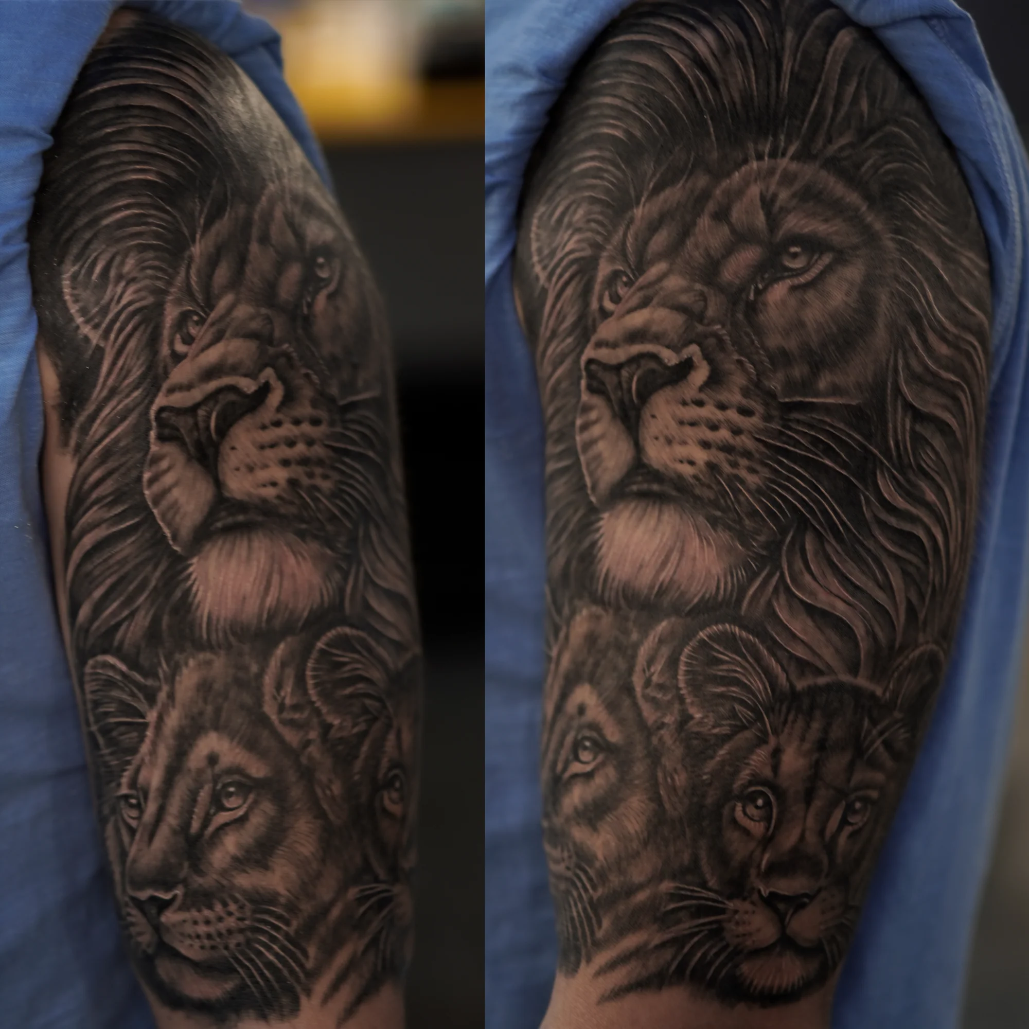A black-and-gray lion and cub tattoo, shown from two angles.