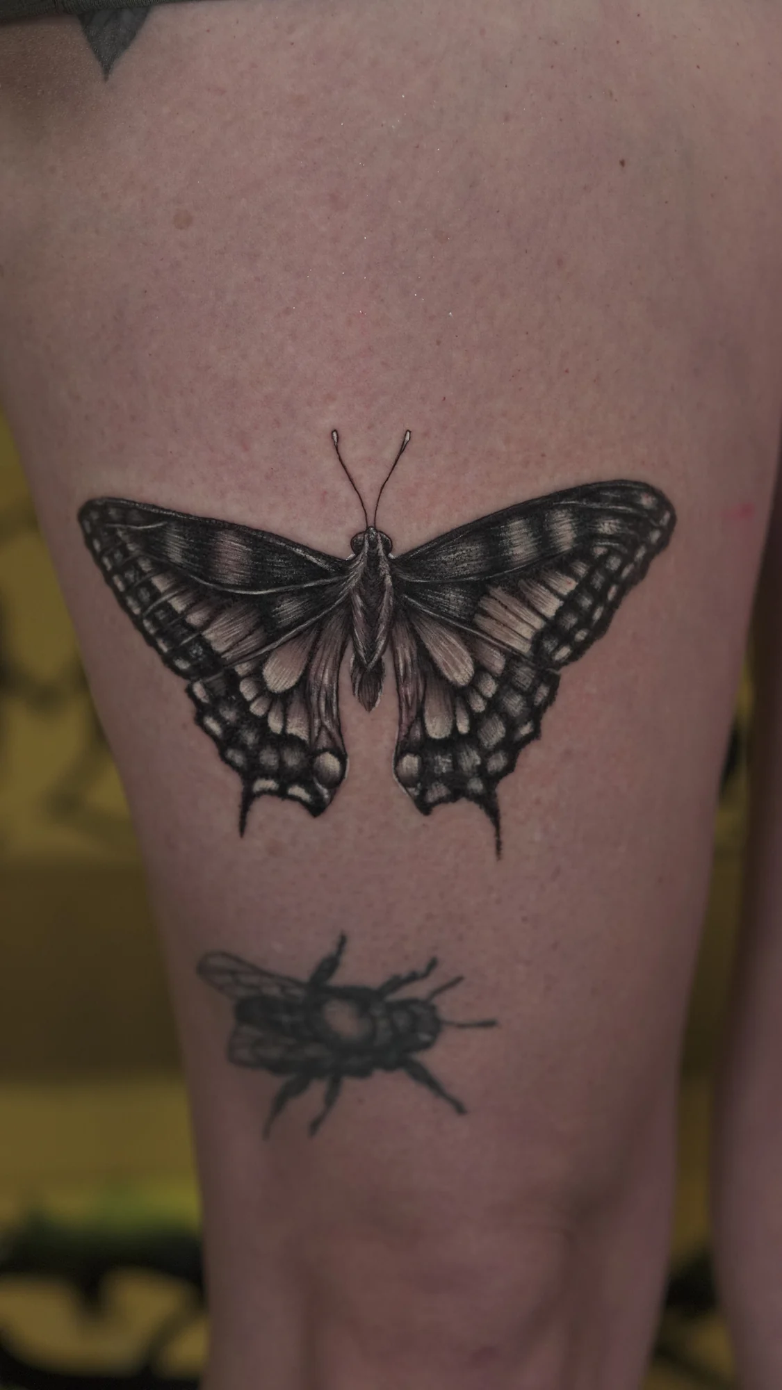 A butterfly tattoo in black and gray with spread wings and fine vein-like detail.