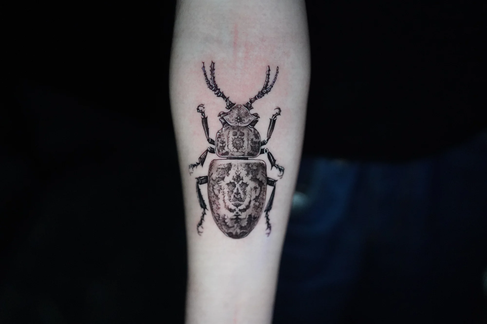 A stag beetle tattoo with branching mandibles and an ornamental pattern across its shell.
