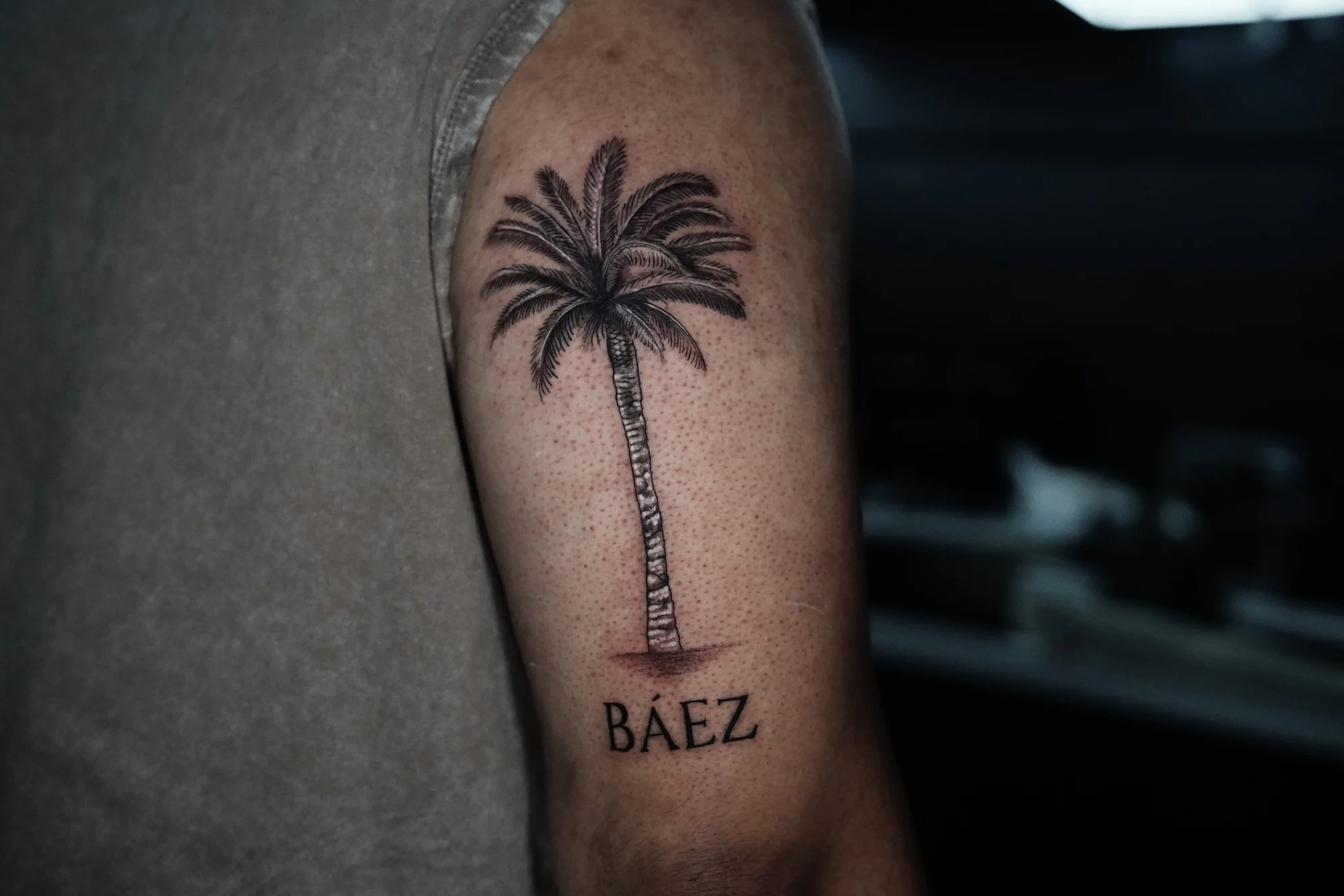 A finely shaded palm tree tattoo with small lettering beneath its trunk on the upper arm.