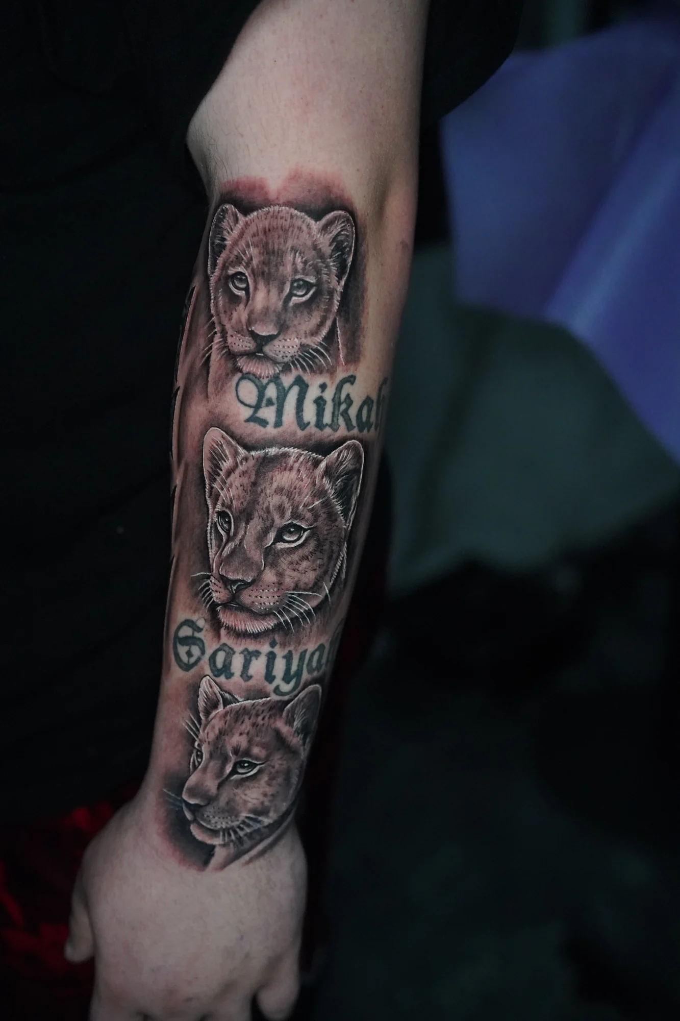 Three lion cub portraits stacked along the forearm with names between the faces.