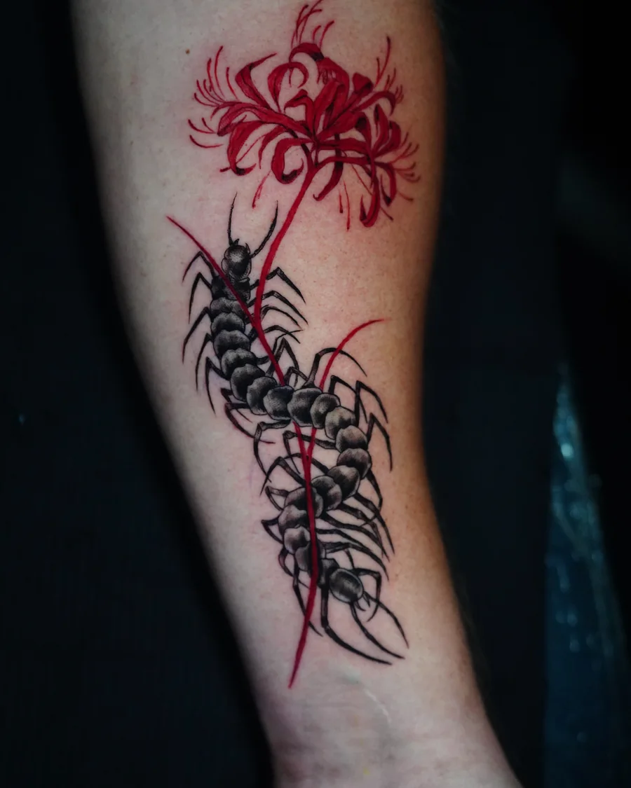 A red spider lily above a long black centipede, connected by a thin red stem along the arm.