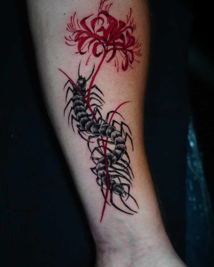 Alternate view. A red spider lily above a long black centipede, connected by a thin red stem along the arm.