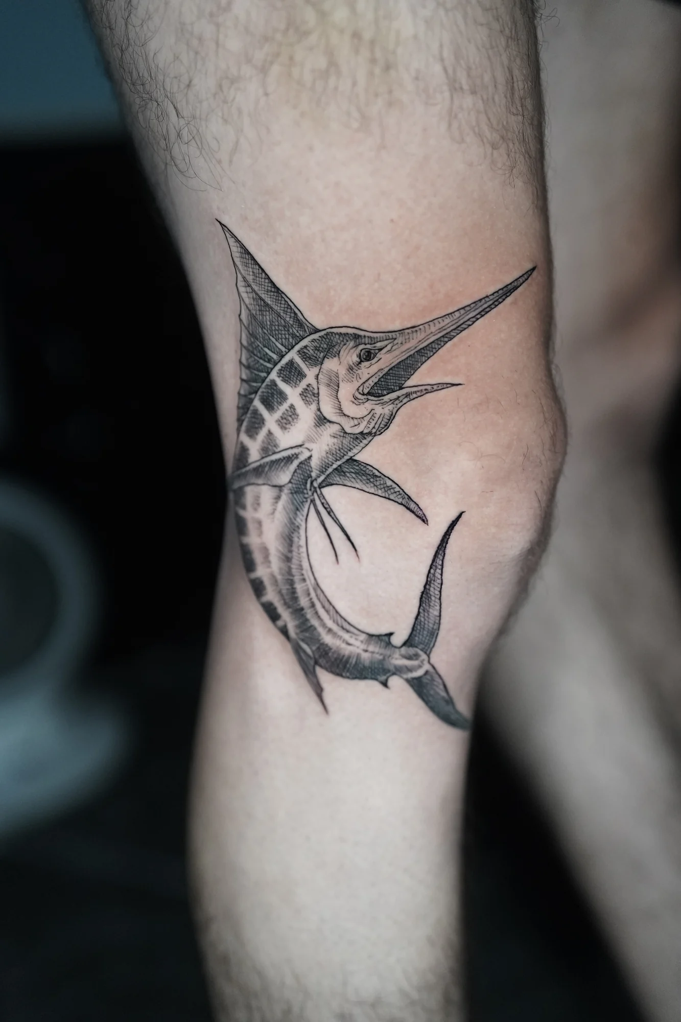 A curved marlin tattoo with a long pointed bill and a patterned back, rendered in black and gray on the arm.