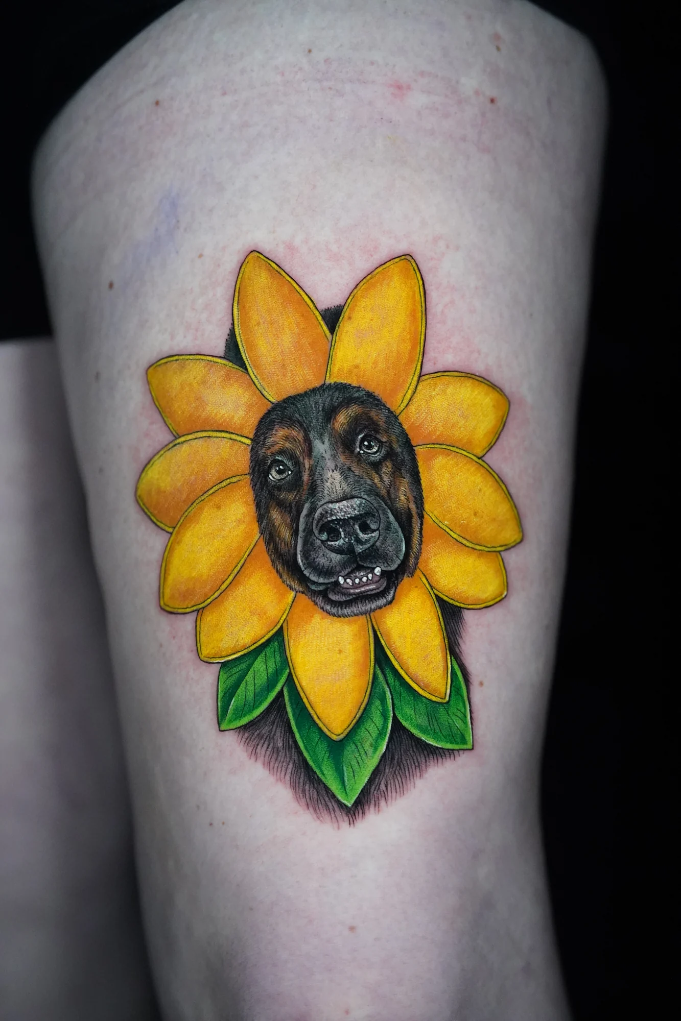 A black dog portrait at the center of a bright yellow sunflower with green leaves.