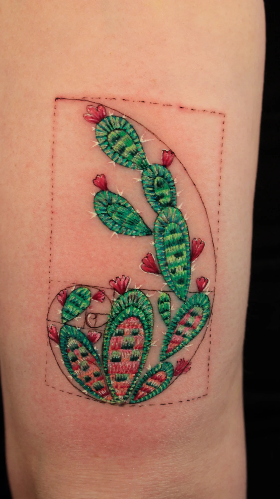 A green prickly pear cactus with pink flowers inside a red geometric frame.