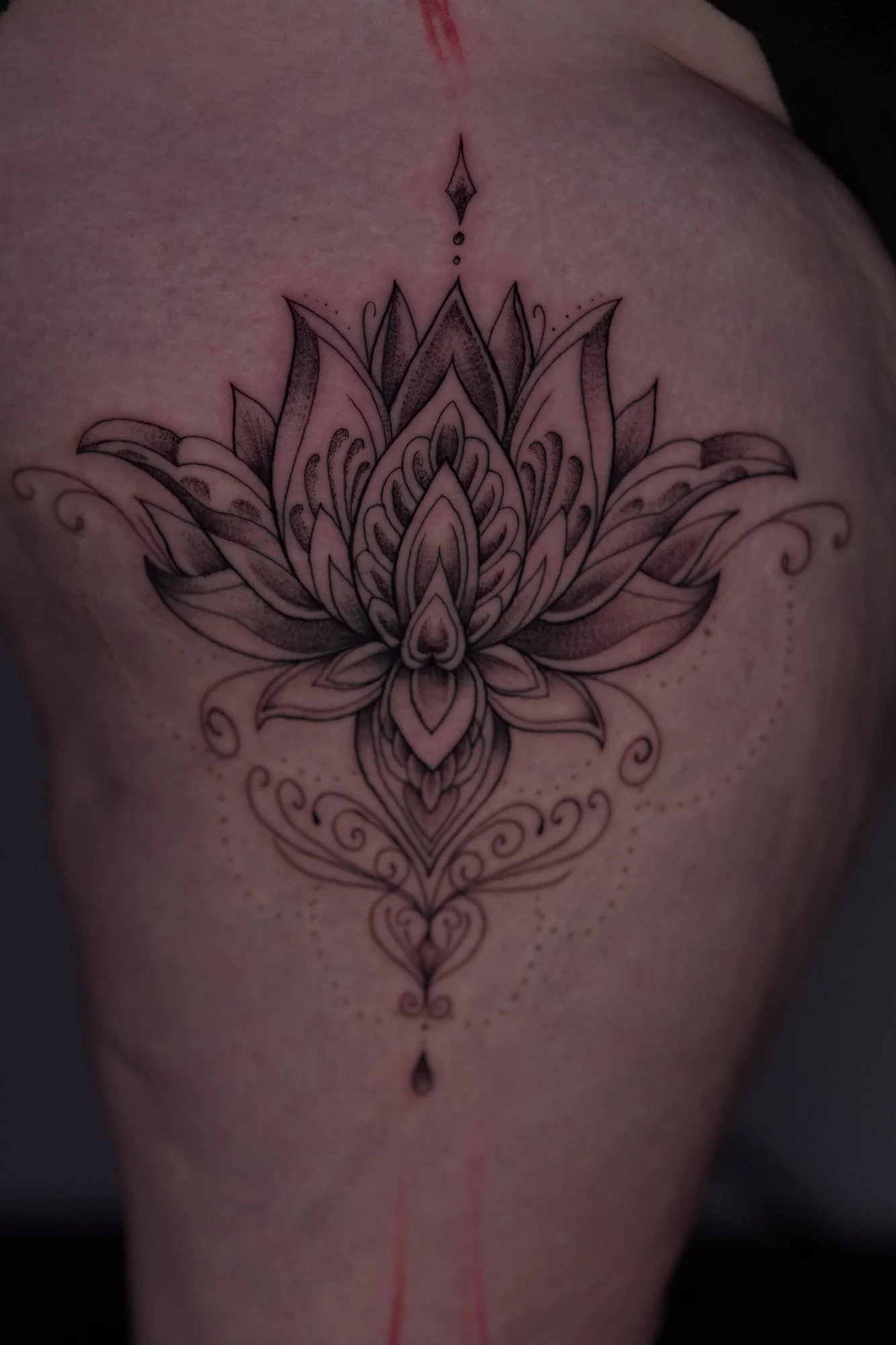 An ornamental lotus tattoo with layered petals, fine shading and symmetrical curved details.