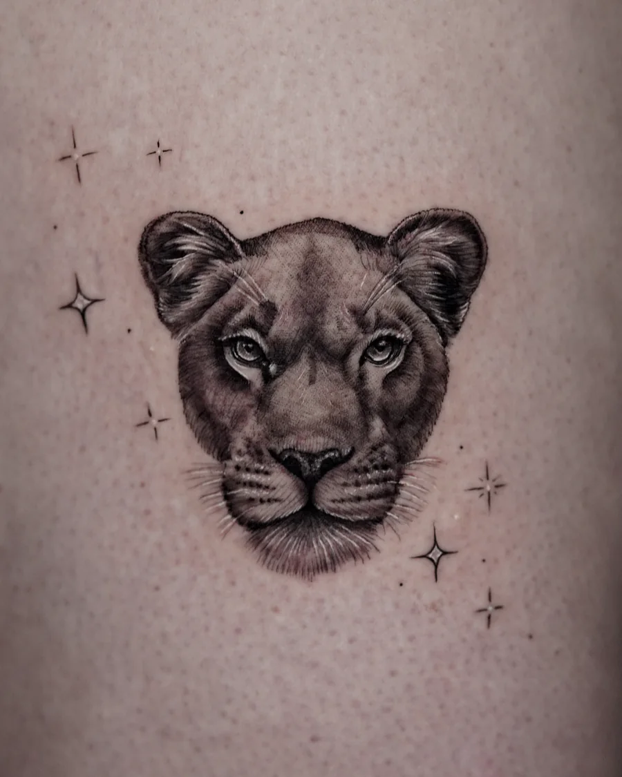 A black-and-gray lioness portrait with small star-shaped accents around the face.