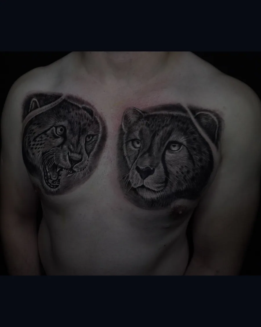Two black-and-gray realistic big-cat portraits arranged across the chest, one snarling and one calm.